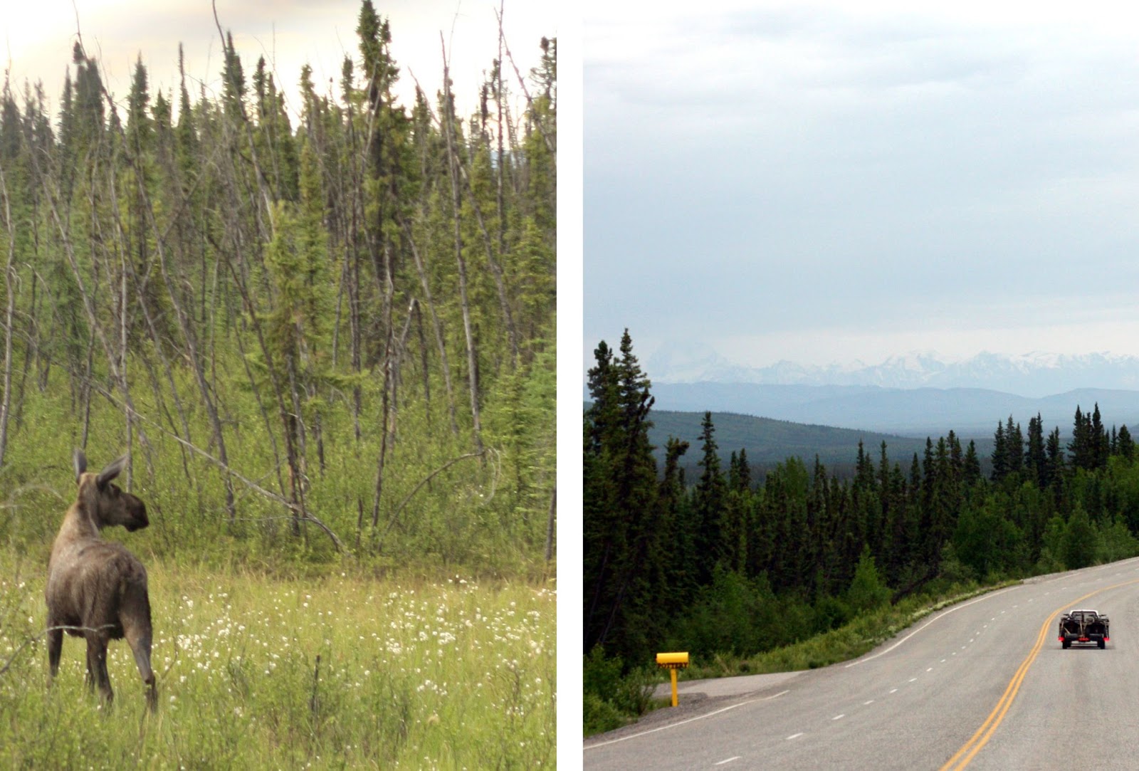 Top of the World Highway_13
